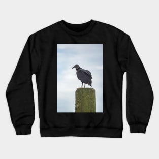 Turkey Vulture of Calabash Crewneck Sweatshirt